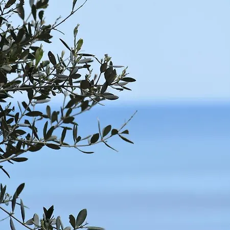 Thalatta Beyond Agios Ioannis